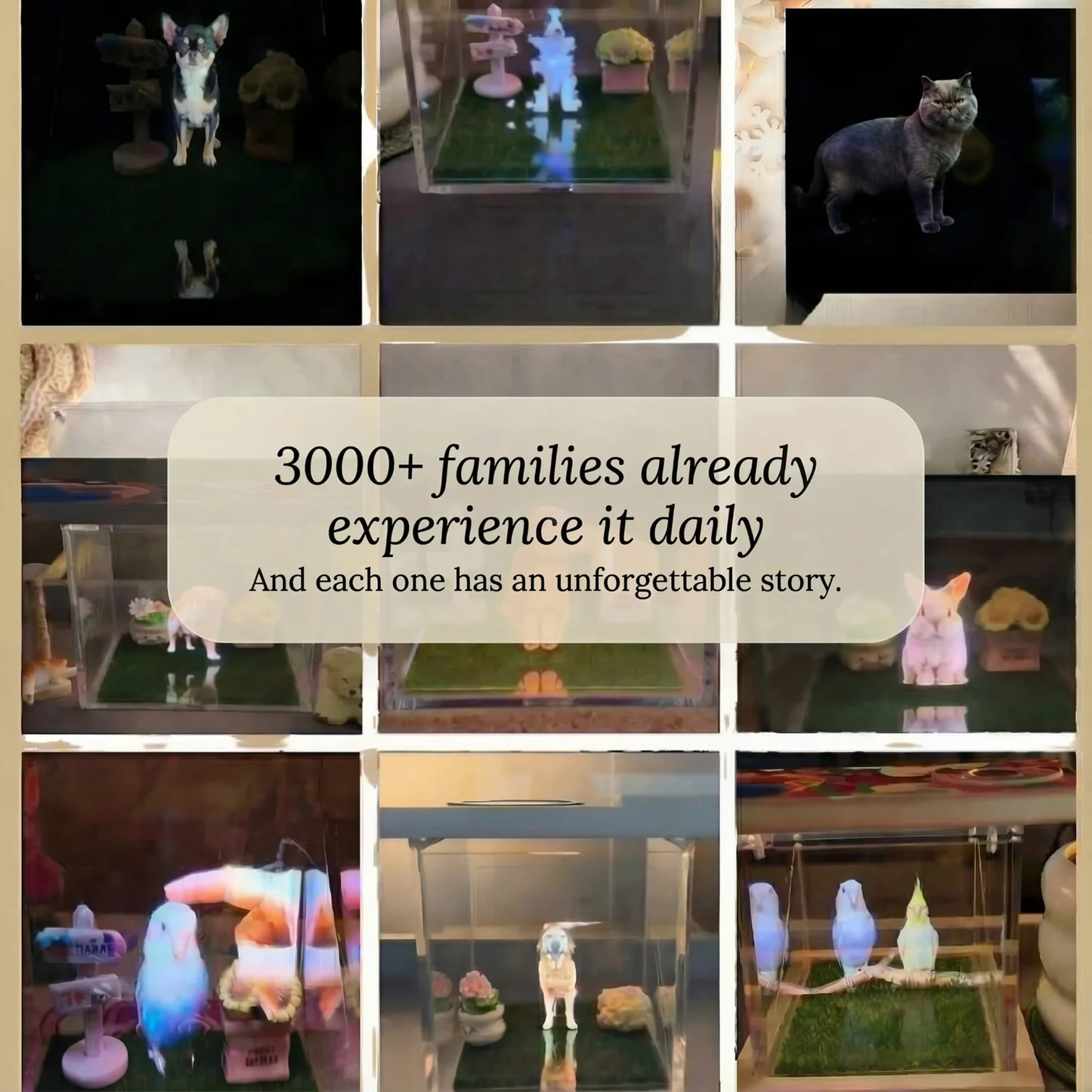 50% OFF❤️Personalized 3D Hologram Pet Memorial Box