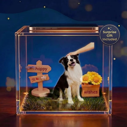 50% OFF❤️Personalized 3D Hologram Pet Memorial Box